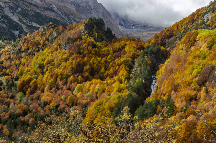Huesca - valle de Bujaruelo 26.jpg
